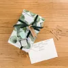 trodat® Creative Mini + Kissen Set - Beste Wünsche (Pastell Grün) trodat® Creative Mini + Kissen Set - Beste Wünsche (Pastell Grün)