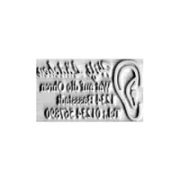 Stempelplatte Colop Expert Line 3100 Stempelplatte Colop Expert Line 3100